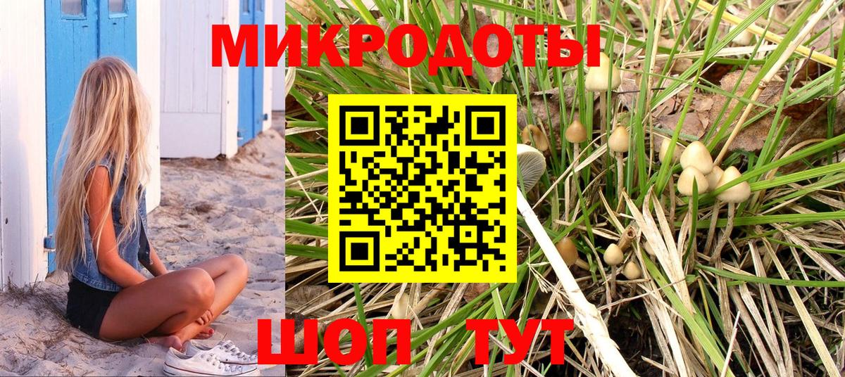 Псилоцибиновые грибы мухоморы Екатеринбург