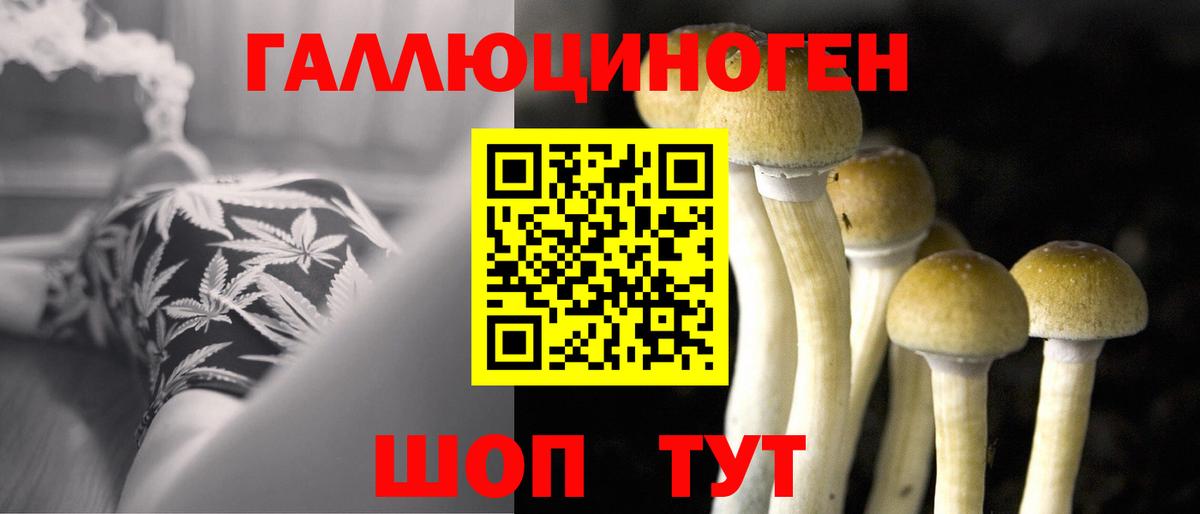 Галлюциногенные грибы GOLDEN TEACHER  Галлюциногенные грибы мицелий  Екатеринбург  Вход с VPN 
